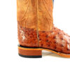 Heel