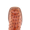 Toe